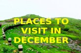 Kerala places to visit in december|Kerala Tour Packages