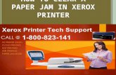 How To Clear A Paper Jam in Xerox Printer?