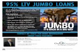 Jumbo 95% LTV Program