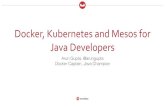 Docker, Kubernetes, and Mesos recipes for Java developers
