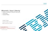 Jcconf 2015 Taipei -- Bluemix java liberty -auto-configration