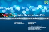 Digital Marketing Project Presentation