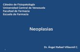 Clase de Neoplasias  Benignas y Malignas