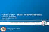 Flatlick Branch - Phase 1 Stream Restoration