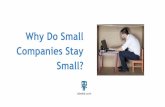 Why Do Small Companies Stay Small?| Odeela
