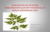 Immunomodulatory plant