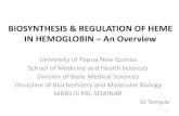 BIOSYNTHESIS & REGULATION OF HEME IN HEMOGLOBIN – An ...