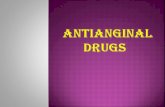 14.antianginal drugs