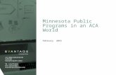 Minnesota Public Programs in a Post-ACA World