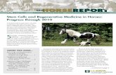 Stem Cells and Regenerative Medicine in Horses: Progress through ...