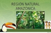 Región natural amazónica
