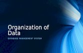 Data Hierarchy & Keys (Database Management System)