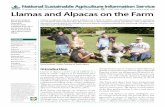 Llamas and Alpacas on the Farm - ATTRA Publication
