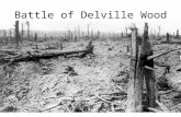 The battle of delville wood