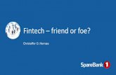 Fintech  - friend or foe?
