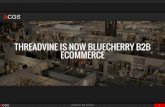 BlueCherry B2B eCommerce by CGS for LinkedIn