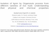 Lignin extraction crop waste-biomass-organosolv-characterization-dhepe-ncl-sandip