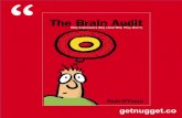 A Brain's Gotta Do What a Brain's Gotta Do: 30 Nuggets of Audit