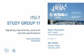 ITU-T Study Group 11 Introduction