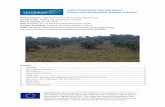 Initial Stakeholder Meeting Report Valonia oak silvopastoral ...