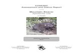 COSEWIC assessment and status report on the Mountain Beaver