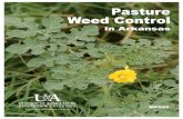 Pasture Weed Control in Arkansas - MP522