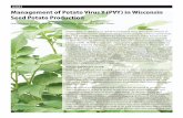 Management of Potato Virus Y (PVY) in Wisconsin Seed Potato ...