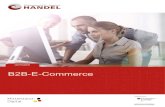 Leitfaden „B2B-E-Commerce“