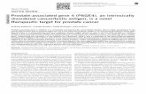 Prostate-associated gene 4 (PAGE4), an intrinsically disordered ...