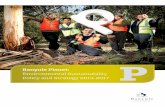 Banyule Planet Environmental Sustainability Strategy 2013-2017