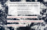 Representing sub-grid heterogeneity of cloud and precipitation ...
