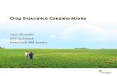 Crop Insurance Considerations