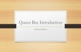 Queen Bee Introduction - Beekeeping