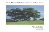 Oak Tree Preservation Guidelines and Ordinance