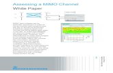Assessing a MIMO Channel White Paper