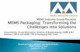 MEMS Packaging