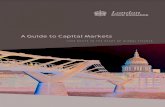 A Guide to Capital Markets