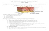 The Integumentary System Training Handout - soinc.org