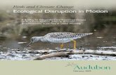 Birds and Climate Change — Ecological Disruption in Motion
