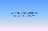 Wilding Pine Control Marlborough Sounds & Abel Tasman National ...