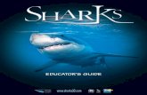 Sharks-Educator's Guide