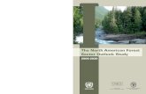 The North American Forest Sector Outlook Study 2006-2030