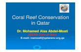 Coral Reef Conservation in Qatar - Panda