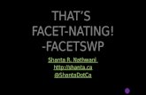 That's Facet-nating! FacetWP WordCamp Rochester 2016