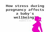 Pregnancy: The Impact Of Mother's Emotions On The Child By Ms. Anu Mehta