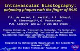 145 intravascular elastography
