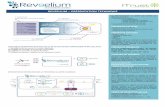 Reveelium Technical Overview - Datasheet FR
