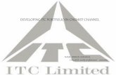 Developing ITC Portfolio in Chemist Channel