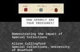 How sparkly are your treasures? Demonstrating the impact of special collections
