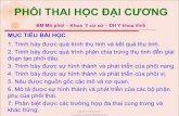 Phoi thai dai cuong
